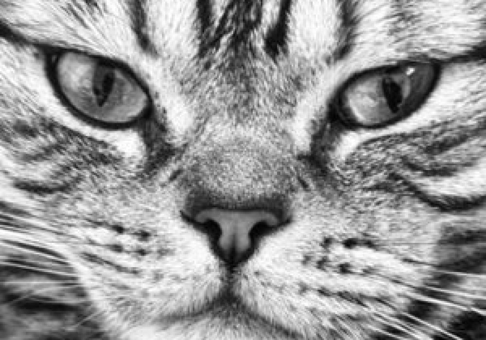 659317b0-db3f-4e80-8192-d9bafde94bb7